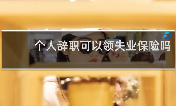 个人辞职可以领失业保险吗