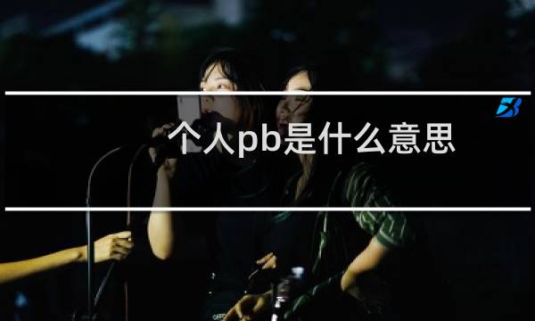 个人pb是什么意思