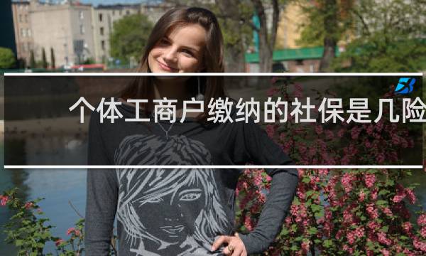 个体工商户缴纳的社保是几险