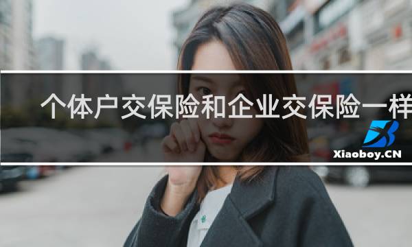 个体户交保险和企业交保险一样吗