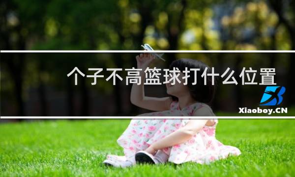 个子不高篮球打什么位置