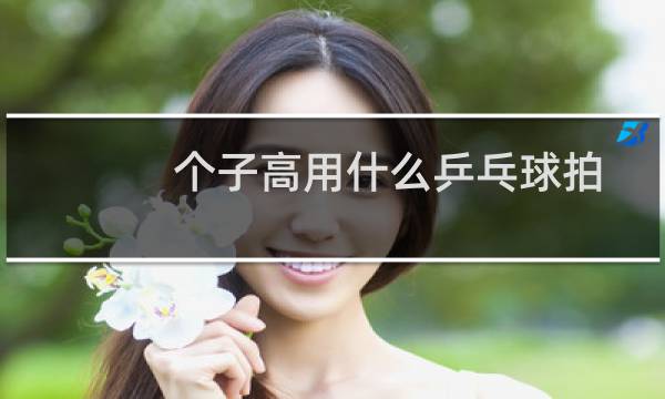 个子高用什么乒乓球拍