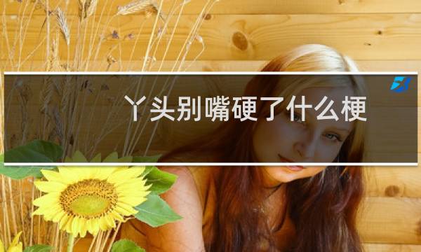 丫头别嘴硬了什么梗