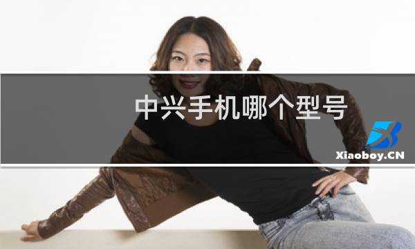 中兴手机哪个型号