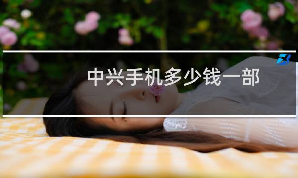 中兴手机多少钱一部