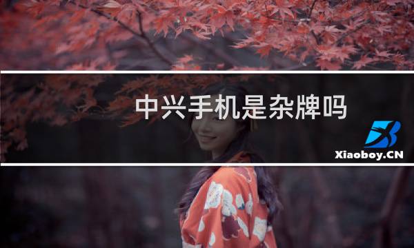 中兴手机是杂牌吗