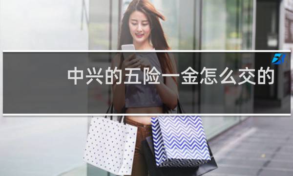 中兴的五险一金怎么交的