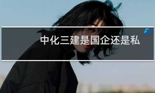 中化三建是国企还是私企（中化三建是央企吗）图片