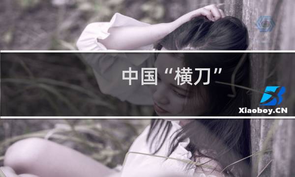 中国“横刀” 唐代军队制式大刀