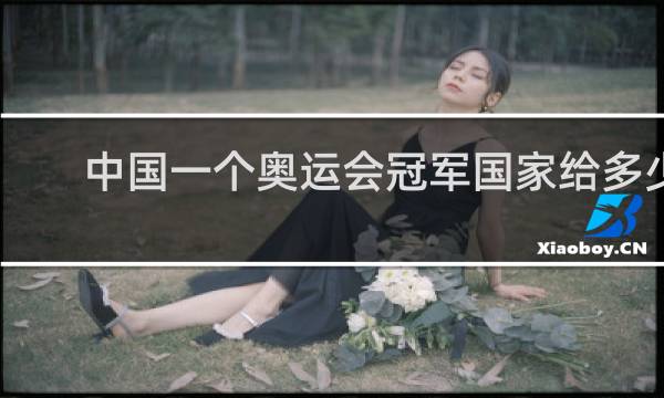 中国一个奥运会冠军国家给多少钱