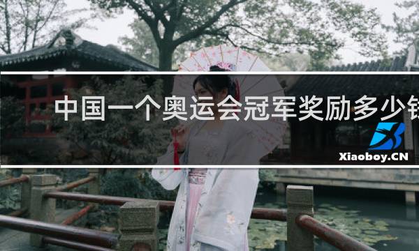 中国一个奥运会冠军奖励多少钱