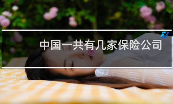 中国一共有几家保险公司