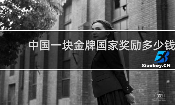 中国一块金牌国家奖励多少钱