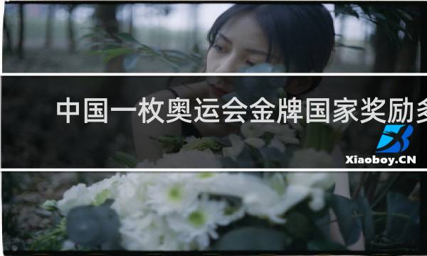 中国一枚奥运会金牌国家奖励多少钱