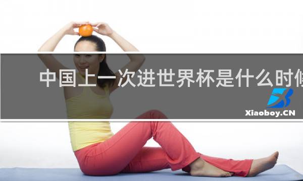 中国上一次进世界杯是什么时候