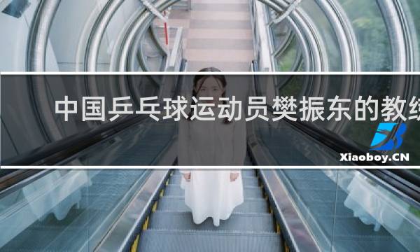 中国乒乓球运动员樊振东的教练是谁
