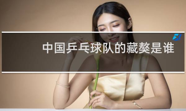 中国乒乓球队的藏獒是谁