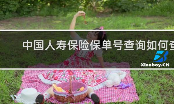 中国人寿保险保单号查询如何查