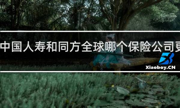中国人寿和同方全球哪个保险公司更可靠图片