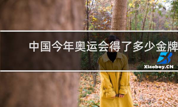 中国今年奥运会得了多少金牌