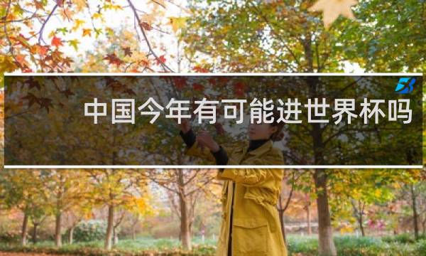 中国今年有可能进世界杯吗