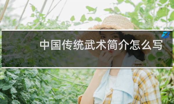 中国传统武术简介怎么写