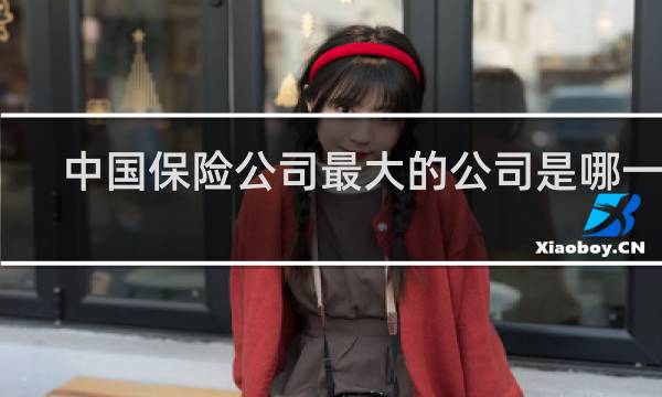 中国保险公司最大的公司是哪一家