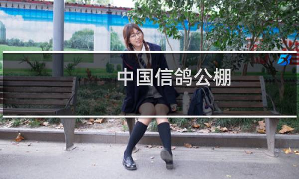 中国信鸽公棚