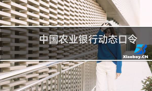 中国农业银行动态口令卡能在自动取款机上取款吗