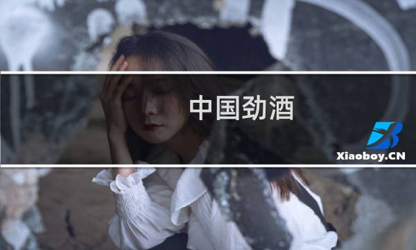 中国劲酒（西塞山特产）