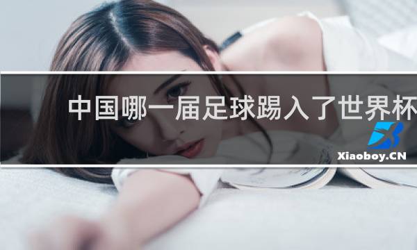 中国哪一届足球踢入了世界杯