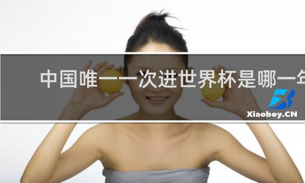 中国唯一一次进世界杯是哪一年