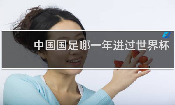 中国国足哪一年进过世界杯