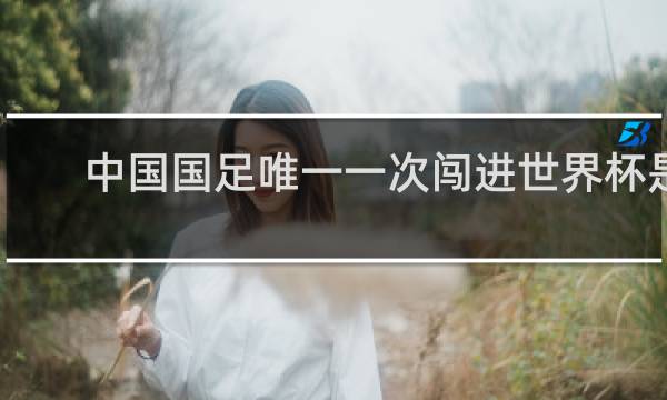 中国国足唯一一次闯进世界杯是哪年
