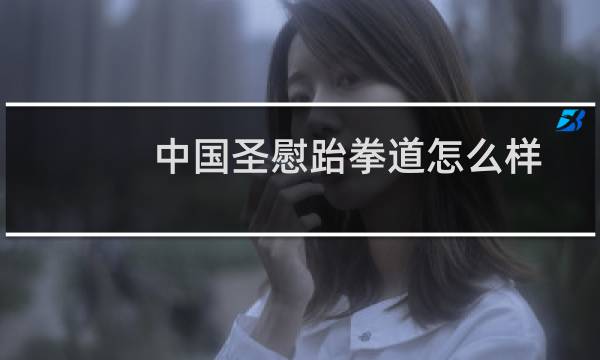 中国圣慰跆拳道怎么样
