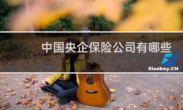 中国央企保险公司有哪些