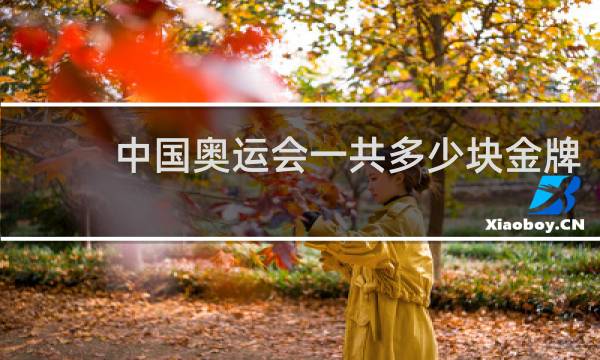 中国奥运会一共多少块金牌