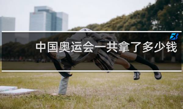 中国奥运会一共拿了多少钱