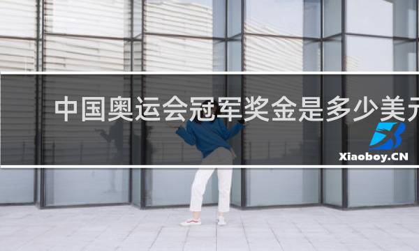中国奥运会冠军奖金是多少美元