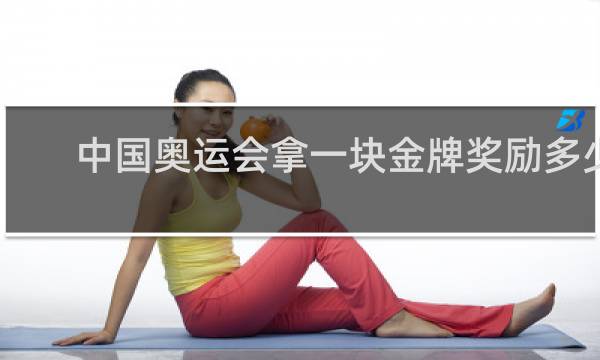 中国奥运会拿一块金牌奖励多少钱