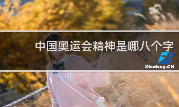 中国奥运会精神是哪八个字