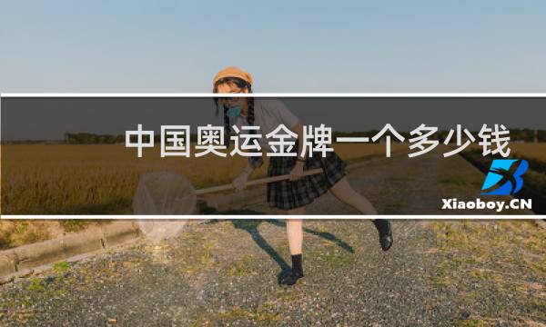 中国奥运金牌一个多少钱
