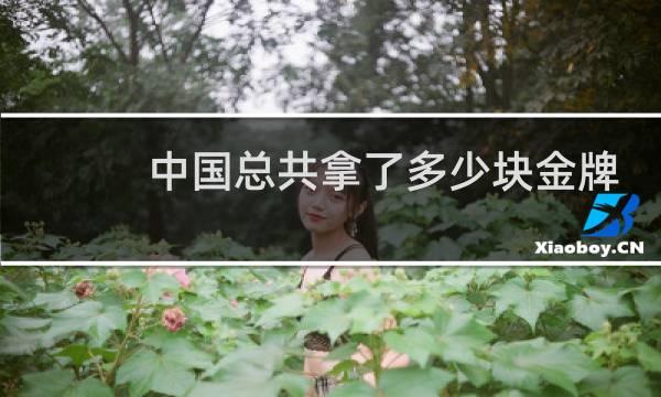 中国总共拿了多少块金牌