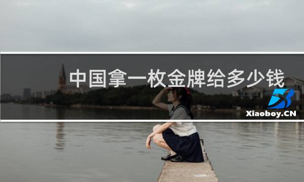 中国拿一枚金牌给多少钱
