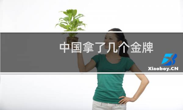 中国拿了几个金牌