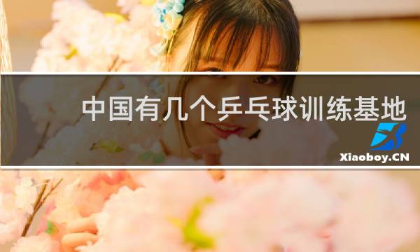 中国有几个乒乓球训练基地