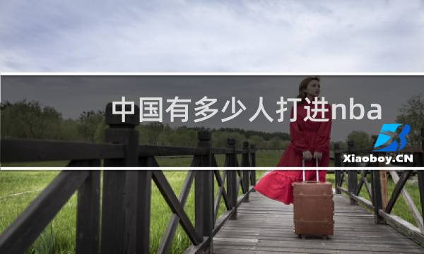 中国有多少人打进nba