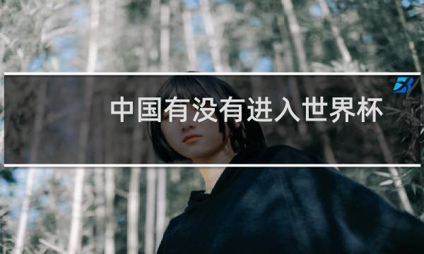 中国有没有进入世界杯