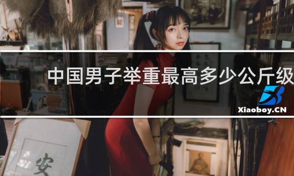 中国男子举重最高多少公斤级