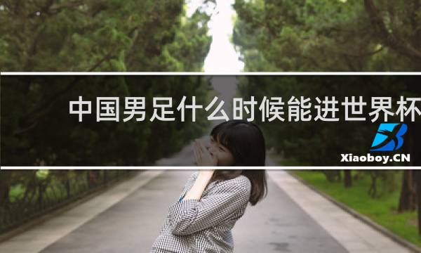 中国男足什么时候能进世界杯